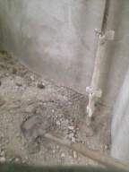 castlepark gate -  20475.jpg